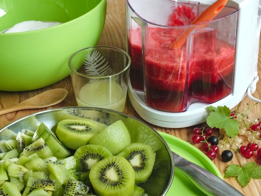 MARMELÁDA S RYBÍZEM A KIWI