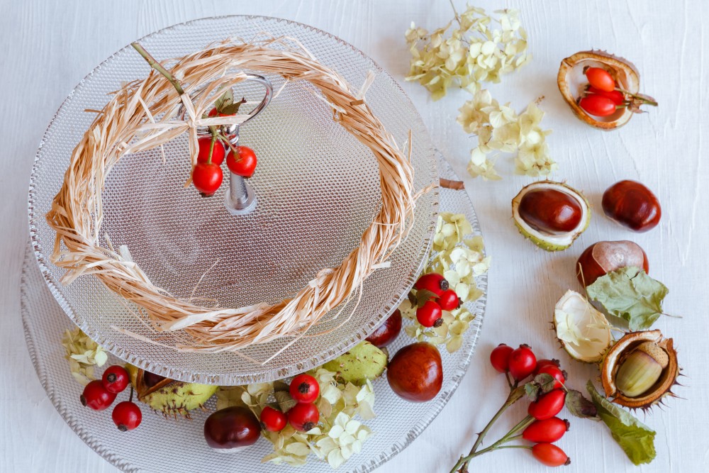 DALŠÍ PORCE PODZIMNÍ INSPIRACE