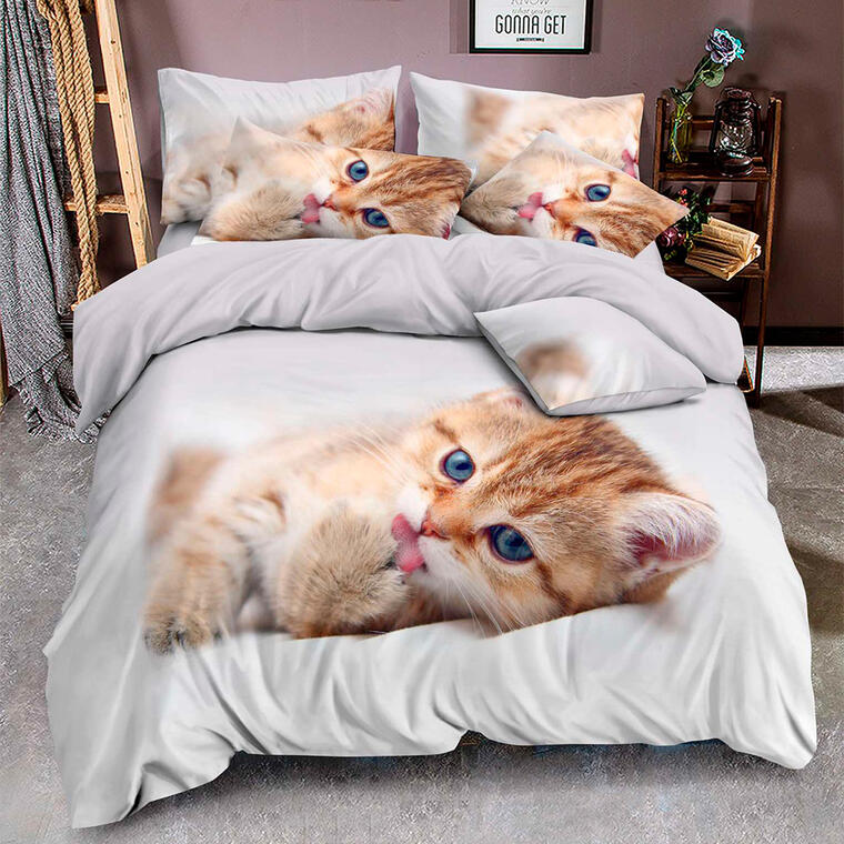 54022_kitten_eshop_eshop_z1