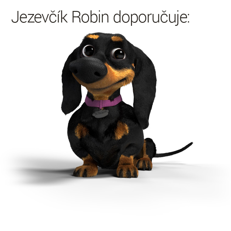 176421778_2168475046623105_8230440926597957729_n