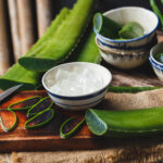 Aloe vera a proč ji mít doma