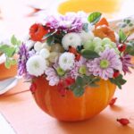 5x DÝNĚ NA VAŘENÍ I JAKO DEKORACE