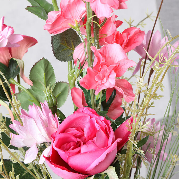 19491_6_eshop_z5