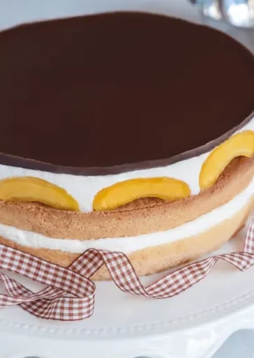 UTAJENÝ BROSKVOVÝ DORT