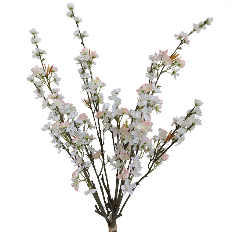 Svazek větviček JABLOŇ