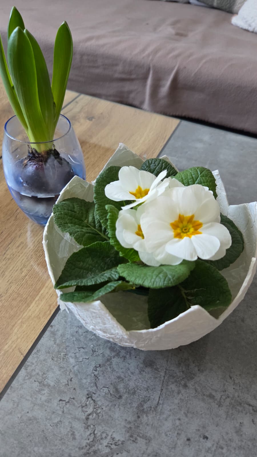 Jarní květináč ve tvaru naprasklého vajíčka