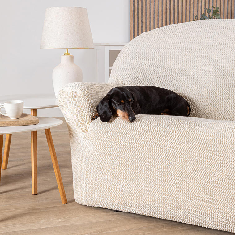 svetly-obyvak-se-psem-a-smetanovym-potahem-na-sedacce